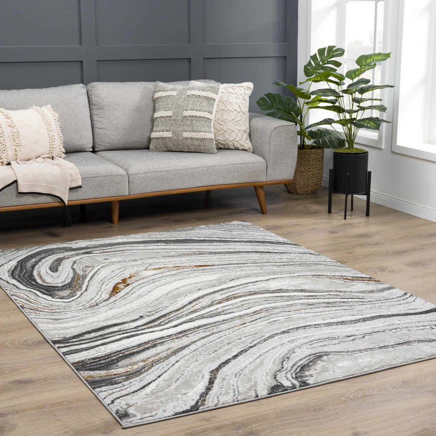 Living room scene with gray sofa and Live Marble Dark Gray Area Rug. Roomscene-Rectangle