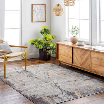 Living room scene with a beige and gray Alexi Luxe Rug, wood floors, and mid-century modern furniture. Roomscene-Rectangle