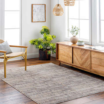Living room scene with a Cane Luxe Rug in beige and charcoal, wood floors, and a mid-century modern cabinet. Roomscene-Rectangle