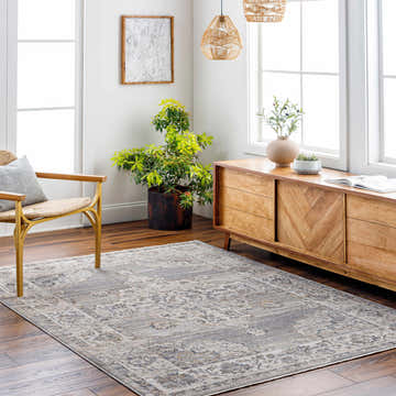 Living room scene with a Cream Brown Zola Area Rug, wood floors, console table, chair, and plants. Farmhouse style. Roomscene-Rectangle