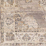 Close-up of the Cream Brown Zola Area Rug, showcasing its traditional floral pattern and neutral beige, brown, and gray color palette. Swatch
