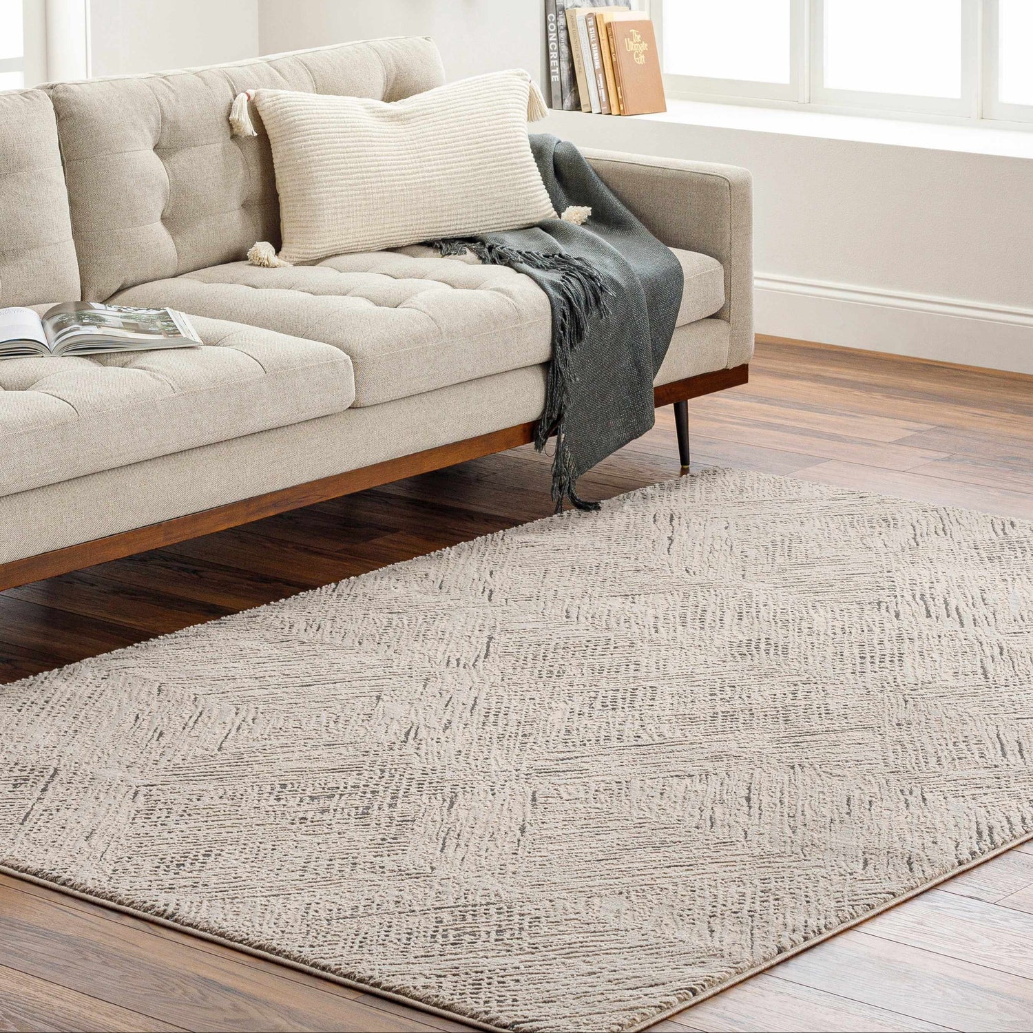 Living room scene with a beige sofa and a Garza Diamond Textured Washable Rug in beige and gray on a wood floor. Roomscene-Rectangle