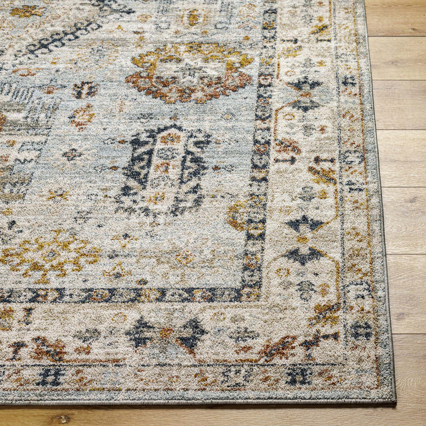 Close-up of the Kamau Cream & Blue Area Rug showing its light gray, natural gray, gold, and brown transitional pattern. Front