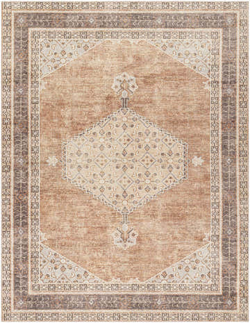 Close-up of the Lila Medallion Tan Area Rug featuring a traditional design, brown tones, and a machine-woven texture. Design-Rectangle-71010