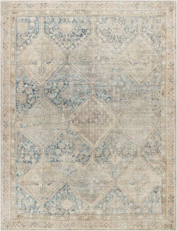 Marlene Medallion Beige & Blue Area Rug, a traditional rug with a detailed medallion pattern and distressed texture. Design-Rectangle-71010