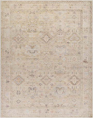 Close-up of the Marlene Damask Light Brown Area Rug by Becki Owens x Livabliss, featuring a traditional cream and brown pattern. Design-Rectangle-71010