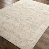 Close-up of the Marlene Damask Light Brown Area Rug by Becki Owens x Livabliss on a dark wood floor. Cream, brown, and coral tones. Corner