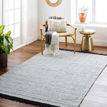 Bright living room scene with a Gray Anane Area Rug, gold accent table, and woven chair. Roomscene-Rectangle