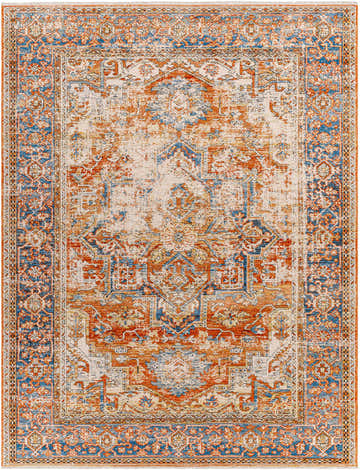 Close-up of the Basim Area Rug. Traditional, farmhouse style rug in bone, charcoal, copper, khaki and rust colors. Design-Rectangle-71010