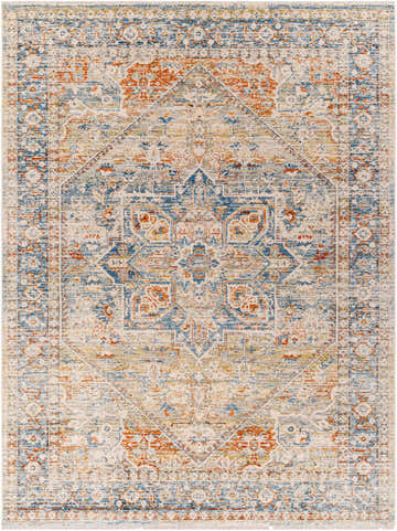 Detailed view of the Elita Area Rug in camel, clay, copper, and blue. Farmhouse style with traditional medallion pattern. Design-Rectangle-71010
