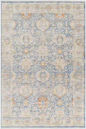 Detailed Eytan Area Rug close-up. Traditional design in cloud gray, light blue, and touches of orange. Machine woven texture. Design-Rectangle-579