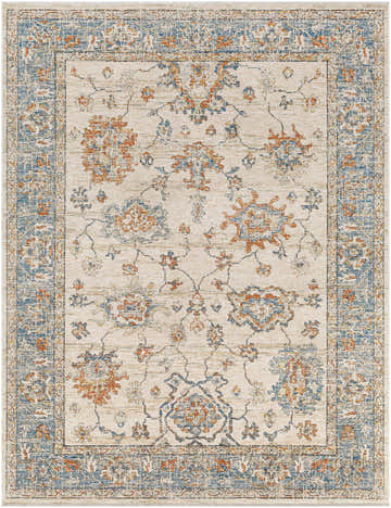 Close-up of the Luma Area Rug featuring a traditional floral pattern in faded driftwood, lambswool, blue, and multi-brown tones. Design-Rectangle-71010