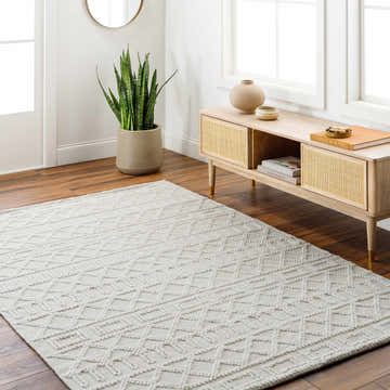 Farmhouse living room with bone-colored Canta Area Rug, light wood console table, and snake plant. Roomscene-Rectangle