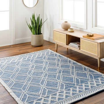 Entryway with blue and white geometric Rika Area Rug, light wood console table, and snake plant. Roomscene-Rectangle