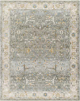 Detailed view of the Aviva Teal Textured Rug with a traditional floral pattern and fringe border. Design-Rectangle-710103