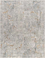 Close-up of the textured Ifama Rug with Fringes. Features a distressed pattern in gray, beige, and brown tones. Design-Rectangle-710103