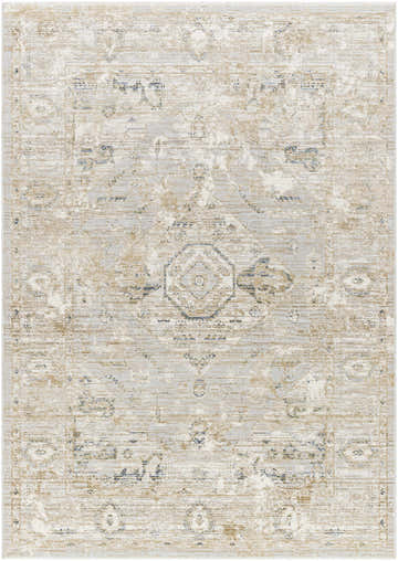 Close-up of Gioia Area Rug. Beige, bone, and blue traditional rug with a distressed, vintage-inspired pattern. Design-Rectangle-537