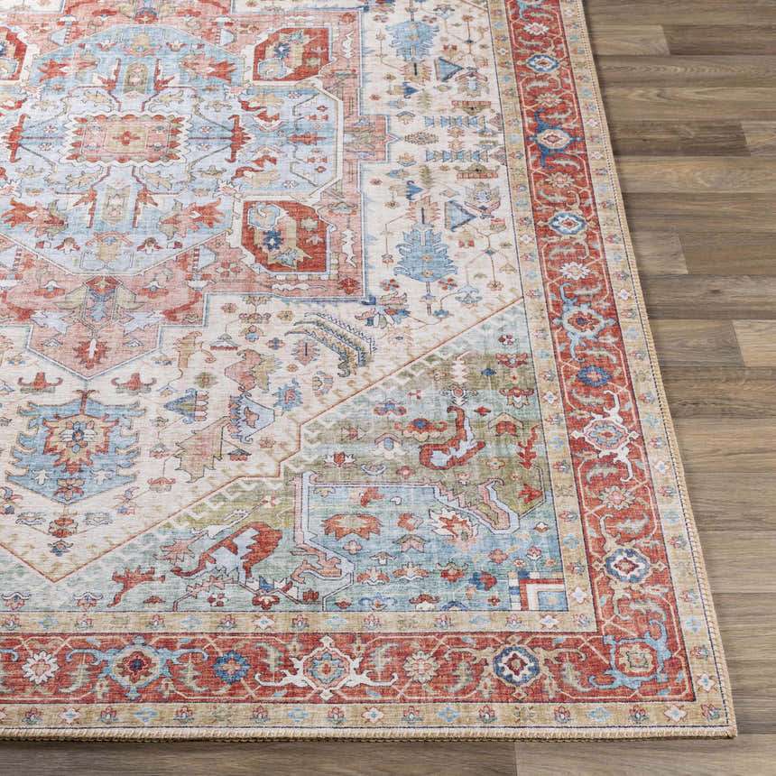 Close-up of the Selbyville area rug showing its brick red, light blue, and ivory Oriental-inspired pattern. Front