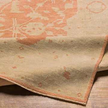 Close-up of the Seney Peach Area Rug showing the wool texture and beige and dusty pink Persian-style pattern. Fold