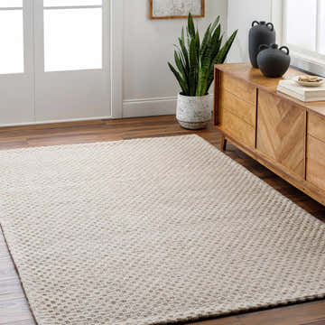 Entryway scene with a beige Kassa Hand Woven Area Rug, wood floors, console table, and snake plant. Roomscene-Rectangle