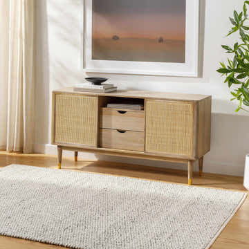 Living room scene with a beige Gilad Area Rug, light wood console table, and neutral decor. Roomscene-Rectangle