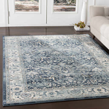 Living room scene with a blue Shokan Area Rug, beige sofa, and dark wood floors. Roomscene-Rectangle