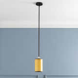 Shropshire Ceiling Light - Clearance