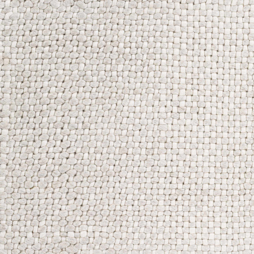 Close-up of the hand woven Shorterville Area Rug. Cream, light gray, and light slate natural fiber texture. Swatch