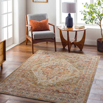 Living room scene with Alois Tan Rich Textured Traditional Rug, gray chair, wood table, and warm, inviting decor. Roomscene-Rectangle