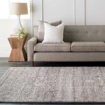 Living room scene with a gray sofa and the gray and beige Sigel Area Rug. Roomscene-Rectangle