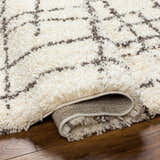 Close-up of the Hodor Area Rug showing its beige shag texture and gray geometric pattern. Rolled edge reveals rug backing. Fold
