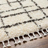 Close-up of the Hodor Area Rug showing its beige shag texture, gray geometric pattern, and decorative tassels. Texture