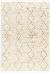 Close-up of the Ishan Cream Area Rug featuring a diamond pattern and tassels. Beige, tan, and cream shag rug. Design-Rectangle-537