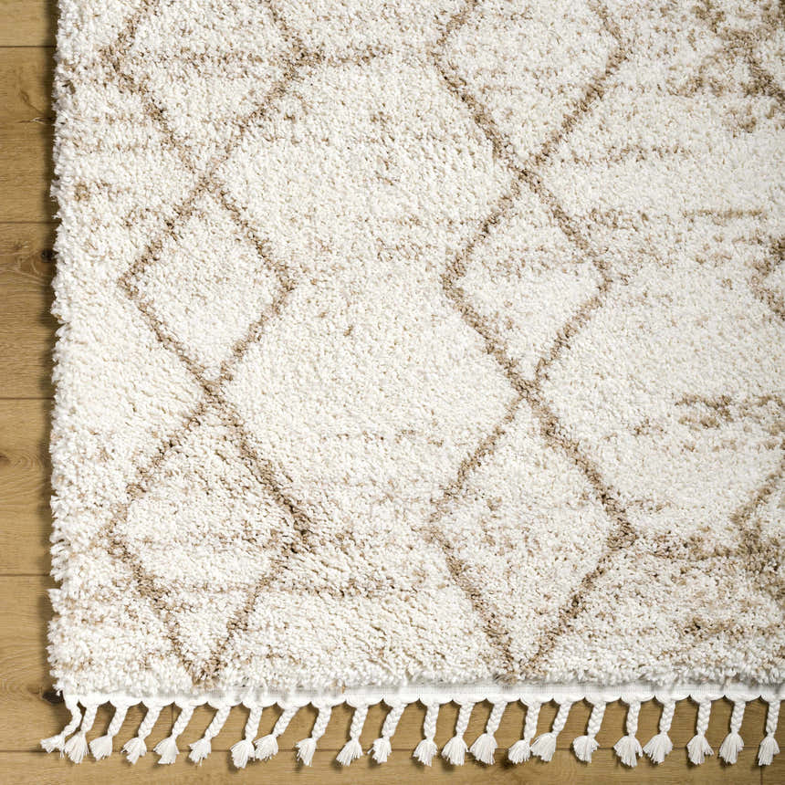 Close-up of the Ishan Cream Area Rug, a shag rug with a geometric diamond pattern and braided fringe. Corner
