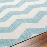 Close-up of Cheri Thatch Light Blue Area Carpet. Chevron pattern in light blue and white. Machine woven texture detail. Texture
