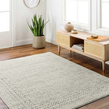 Farmhouse living room with a bone colored Said Area Rug, wood floors, and a light wood media console. Roomscene-Rectangle
