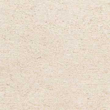 Close-up of the Sera Cream Hand Knotted Wool Area Rug, showing its neutral beige color and textured, looped pile. Swatch
