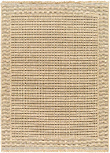 Close-up of the Giada Indoor & Outdoor Rug in oatmeal. Features a woven, textured design with subtle brown stripes and fringed edges. Design-Rectangle-537