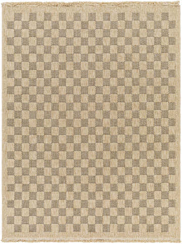 Close-up of the Jurek Beige & Brown Checkered Area Rug. The rug has a tan and khaki checkerboard pattern and woven texture. Design-Rectangle-537