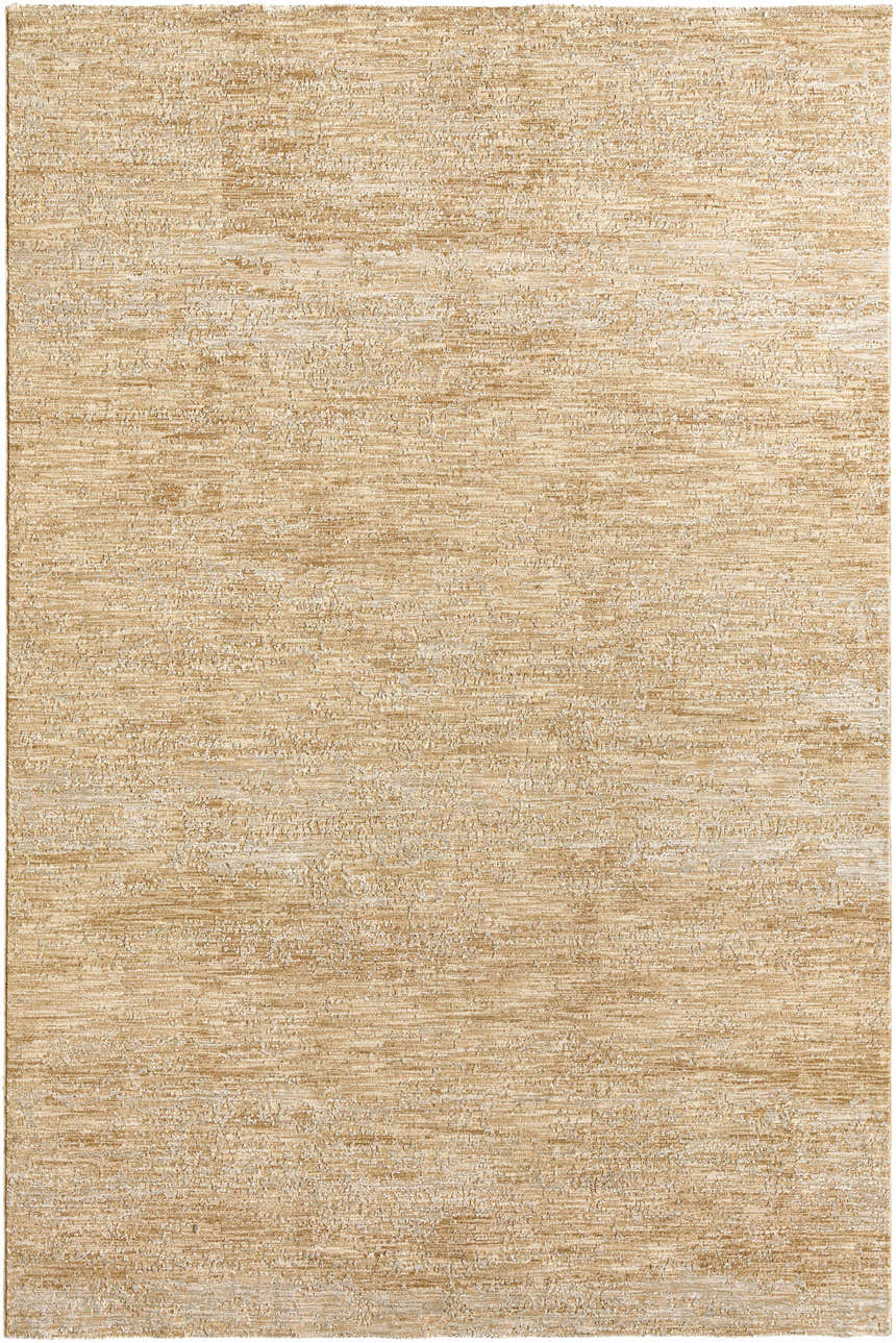 Close-up of the tan Jehan Area Rug, featuring a subtle traditional pattern and textured weave. Design-Rectangle-6796