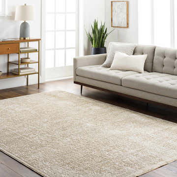 Living room scene with beige Josie Area Rug, neutral sofa, wood floors, and natural light. Roomscene-Rectangle