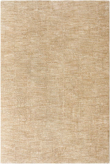 Close-up of the Kahua Tan Area Rug showing its subtle texture and neutral tan color. Farmhouse style rug. Design-Rectangle-6796