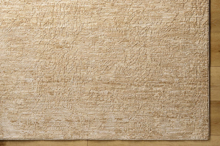 Close-up of the Katia Tan Area Rug showing its khaki and tan hues and subtle traditional pattern. Corner