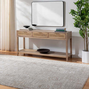 Entryway with light gray Katia Area Rug, wood console table, mirror, and plant. Farmhouse style. Roomscene-Rectangle