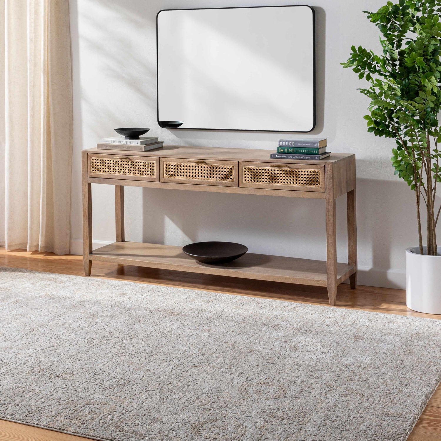 Entryway with light gray Katia Area Rug, wood console table, mirror, and plant. Farmhouse style. Roomscene-Rectangle