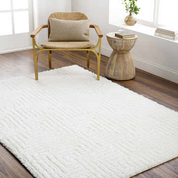 Bright room scene with a white Layla area rug, woven chair, wood side table, and dark wood floors. Roomscene-Rectangle