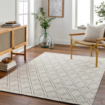 Living room scene with a bone and gray Aeron Area Rug, wood cabinet, and chair. Roomscene-Rectangle