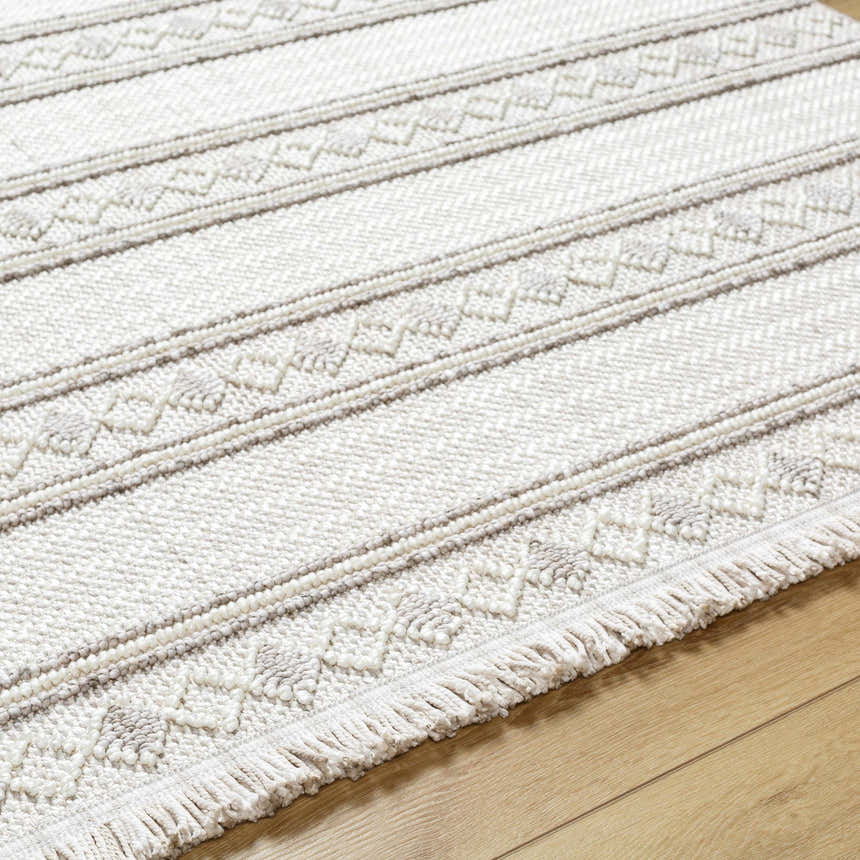 Close-up of the Dagan Area Rug showing beige, gray stripes, geometric patterns, fringe detail, and textured polyester weave. Texture