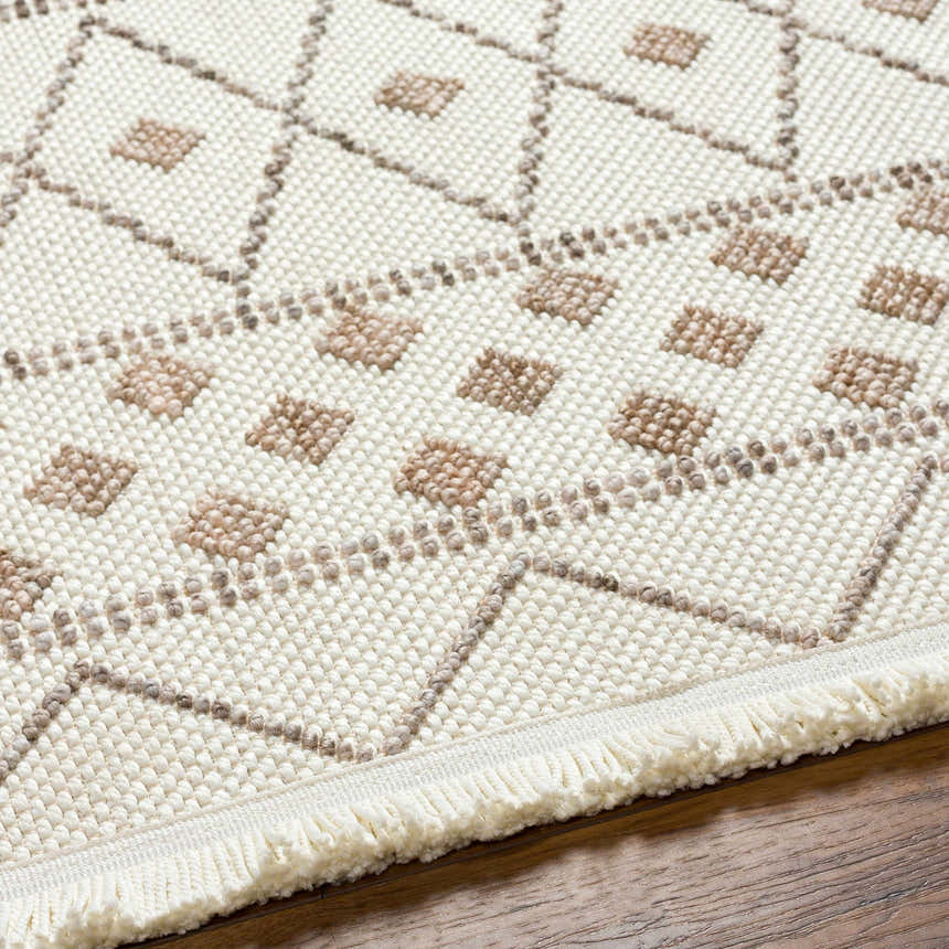 Close-up of the Finch Area Rug showing beige and brown diamond pattern and fringe detail. Texture