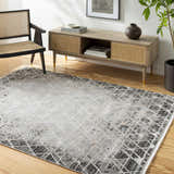 Living room scene with a Luol Gray Area Rug, wood floors, media console, woven chair, and potted plant. Roomscene-Rectangle